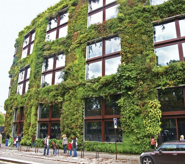 Vitamin Green Book Phaidon