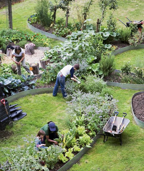 Vitamin Green Book Phaidon