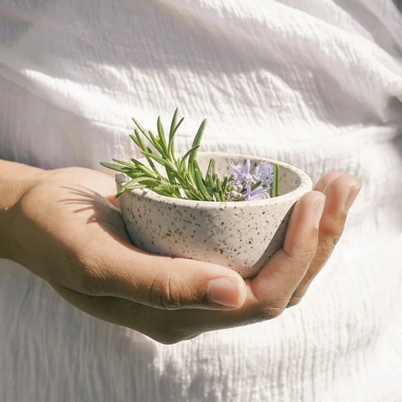 Spice Bowl Dinnerware Earthen