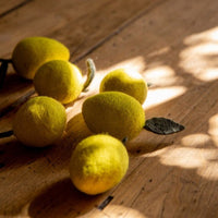 Felted Lemon Decor Muskhane
