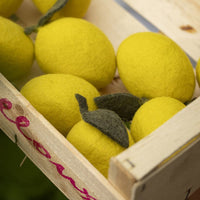 Felted Lemon Decor Muskhane