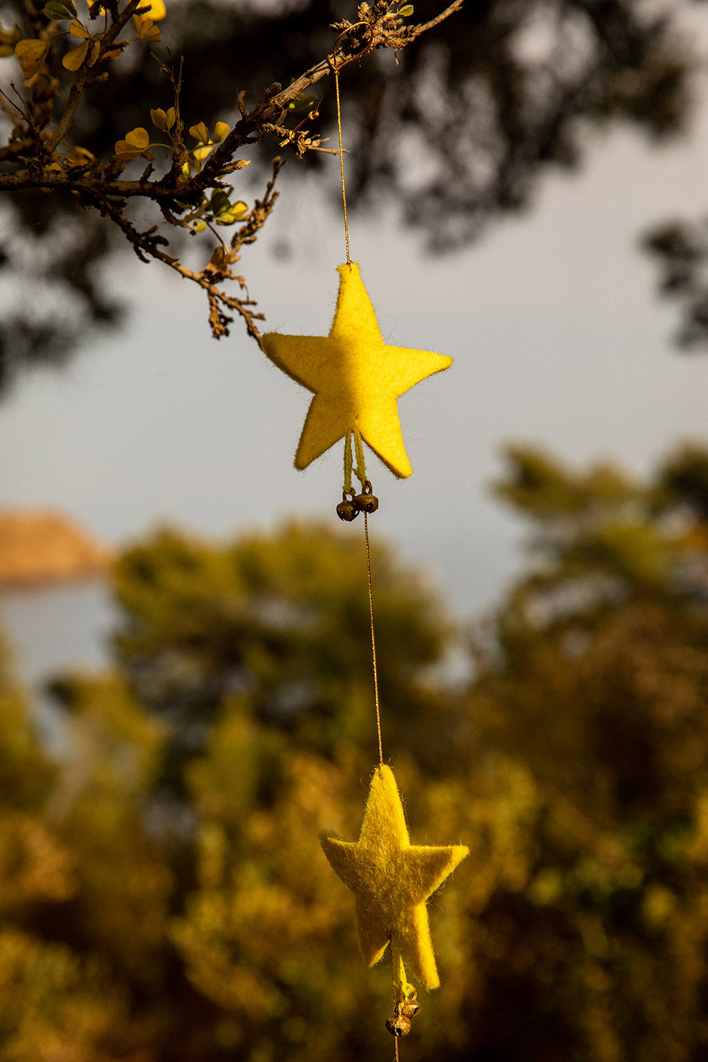 Falling Stars Garland Garland Muskhane