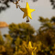 Falling Stars Garland Garland Muskhane Sulphur Flower