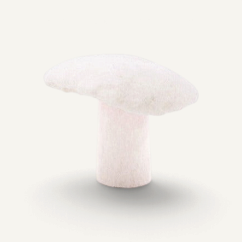 Felt Mushroom - Natural Decor Muskhane Natural Large Mushroom