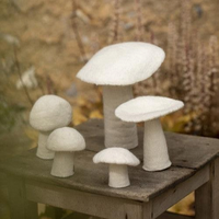 Felt Mushroom - Natural Decor Muskhane