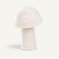 Felt Mushroom - Natural Decor Muskhane
