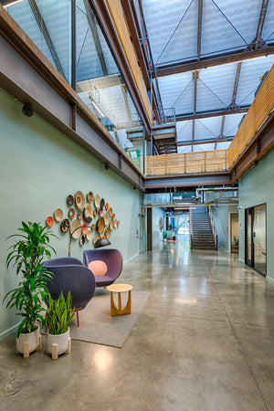 Google Humboldt Campus