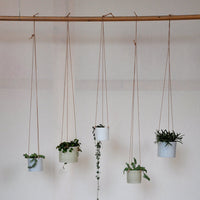 Hanging Grow Flowerpot Pots & Planters AnneBlack