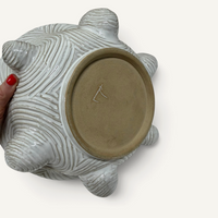 Ginko Bowl Decor Richard Lau