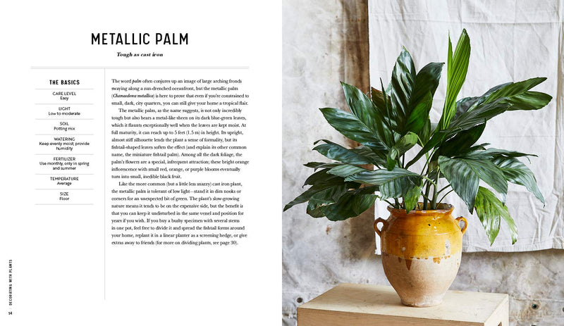 book indoor plants Decorating with Plants Book – JAK W