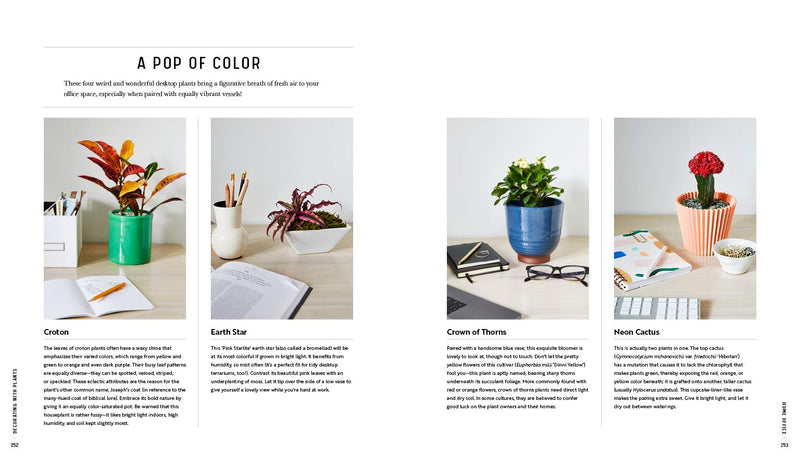 air plants book Decorating with Plants Book – JAK W