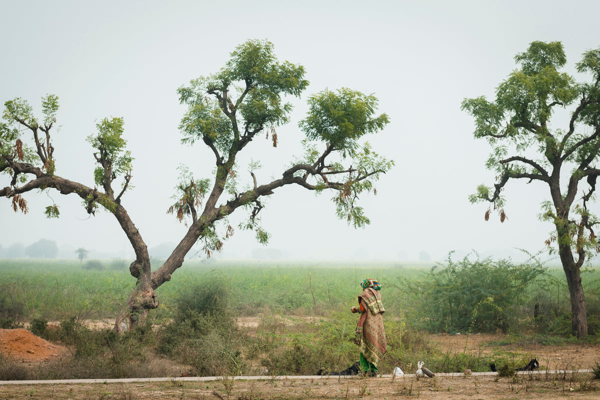 Artwork "Time Standing Still" Artwork Lindsay Upson Photography