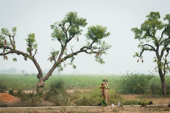 Artwork "Time Standing Still" Artwork Lindsay Upson Photography
